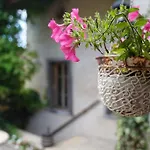 Casa de Férias Maison Vigneron - Maison Et Saint-Didier-sur-Beaujeu