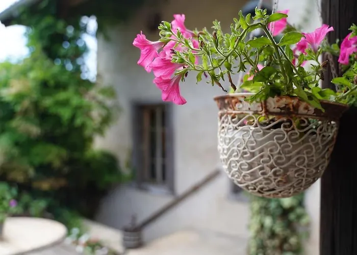 בית נופש Maison Vigneron - Maison Et Saint-Didier-sur-Beaujeu